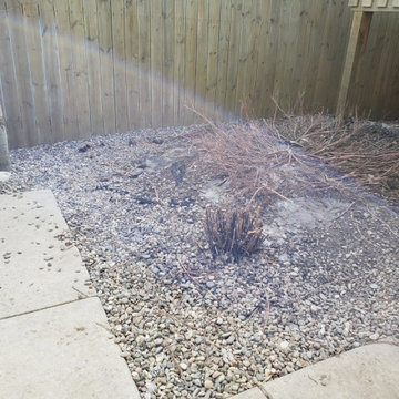 Synthetic Artificial Turf Grass Dog Yard Transformation Lethbridge 2020