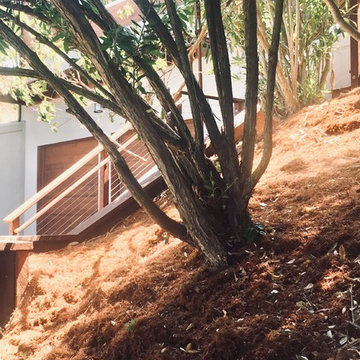 Sausalito Terraced Landscape