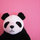 Ann Chen