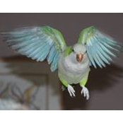 Beth Martin's photo