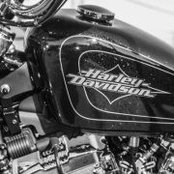 Rhonda Harley's photo