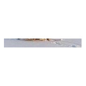 Laura Lee Willard's photo