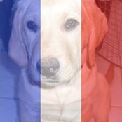 Elodie Faure's photo
