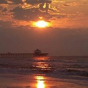 Donna Bushur's photo
