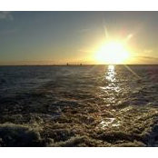 Thelma Rubio's photo