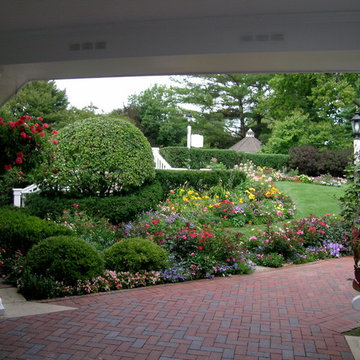 The Long View