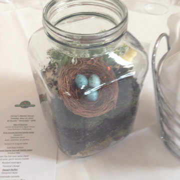 Fairy Gardens, Terrariums & Succulents
