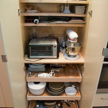 Contemporary Kitchens