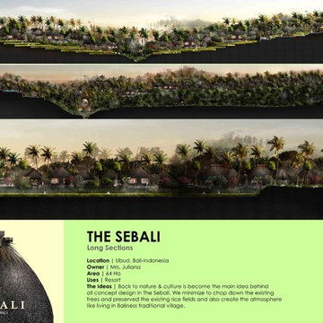 The Sebali