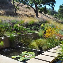 hillside steps, garden, steps