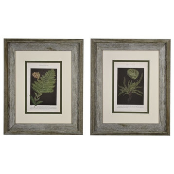 Original Vintage 1925 Botanical Fern Framed Prints, Set of 2