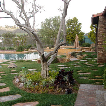 Pools/Spas