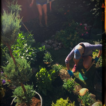 Summer 2017 / garden maintenance