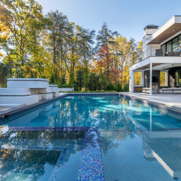 Modern Hillside Oasis