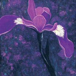 Black Iris - Products