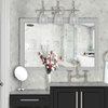 Oakley 3-Light Bathroom Vanity Fixture Beehive Glass, Brushed Nickel