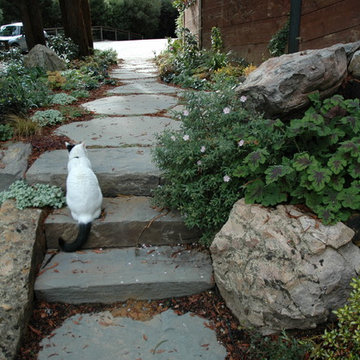 Kathy's Mill Valley Retreat.