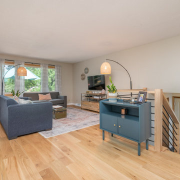 Cicerone Lager
