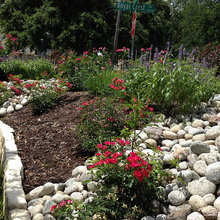 Berm Ideas- How to Space the Plants and What Kinds/Shapes/Sizes