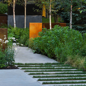 Birch Grove