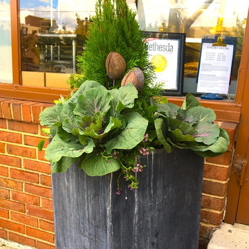 Fall Container Garden Design