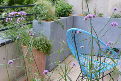 Modelo de patio actual de tamaño medio sin cubierta en patio trasero con jardín de macetas y losas de hormigón