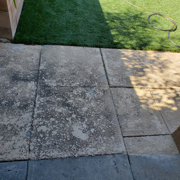 Backyard clean up and remodel