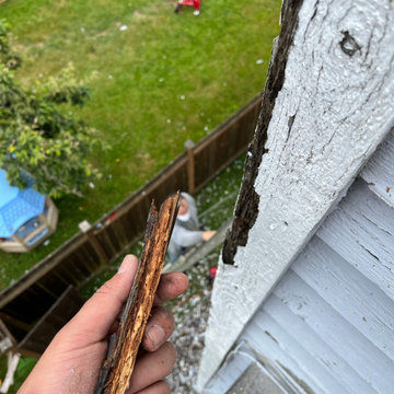 exterior painting