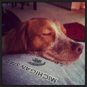 Lisa Ball's photo