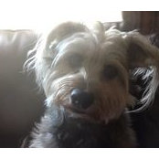 Sandra Woodham's photo