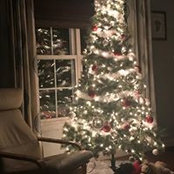 Tami Cox's photo