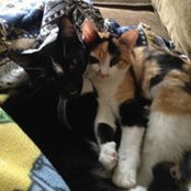 Cindy Nelson's photo