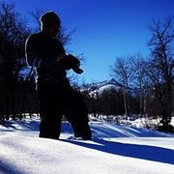 Peter Bookman's photo