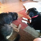 Susan Groover's photo