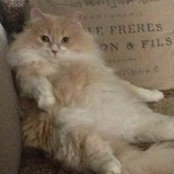 Katie Velnes's photo
