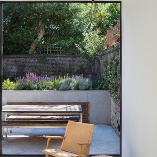 ロンドンの中サイズのコンテンポラリースタイルのおしゃれな裏庭のデッキの写真