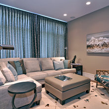 TV & Guest Room