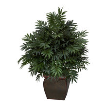 silk trees