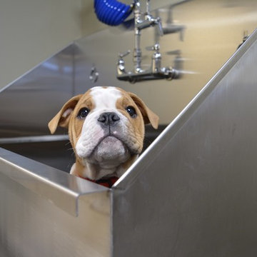 Dog Grooming Sinks
