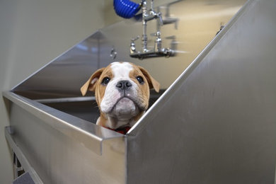 Example of an urban laundry room design in Ottawa with an utility sink