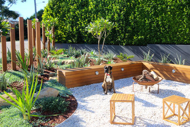 Inspiration for a beach style front yard full sun garden in Sydney.