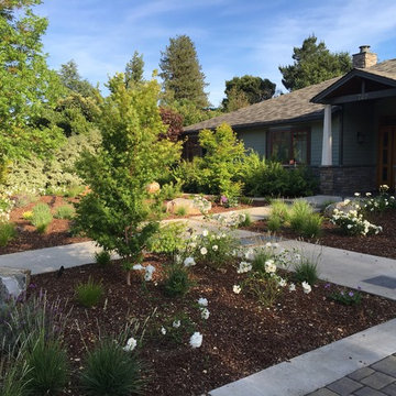 Front Lawn Removal - Los Altos