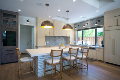 Kitchen - contemporary kitchen idea in San Francisco