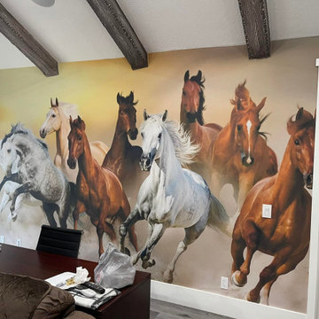 Animal Murals We Have Done