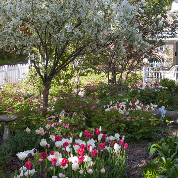 Spring Bulb Garden