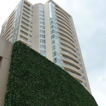Ranka Lasting Greenery