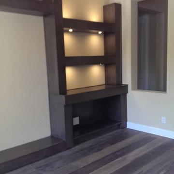 Entertainment Unit