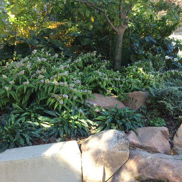 Landscaping