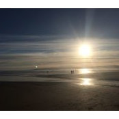 Joy Summerell's photo