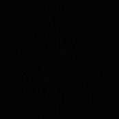 Irsa Tarique's photo